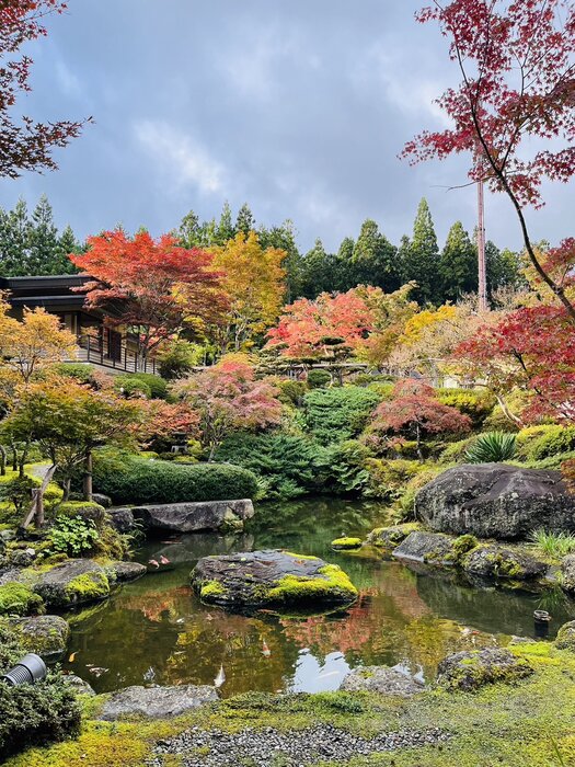 1106紅葉