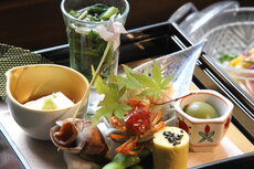 Dinner NIKKO KAISEKI